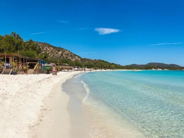 Appartamento Stanatura - Luxe - Proche Du Port - 1 - Pour Des Paisibles